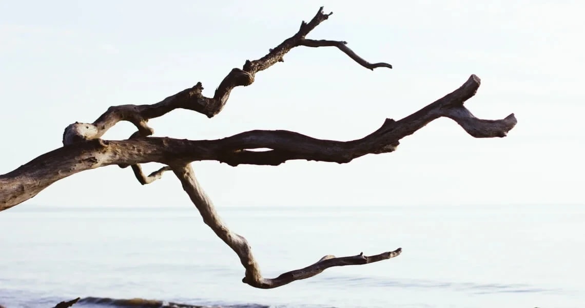 Abzweigungen finden sich überall im Code